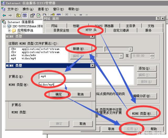 视频上传到网站服务器却不能播放